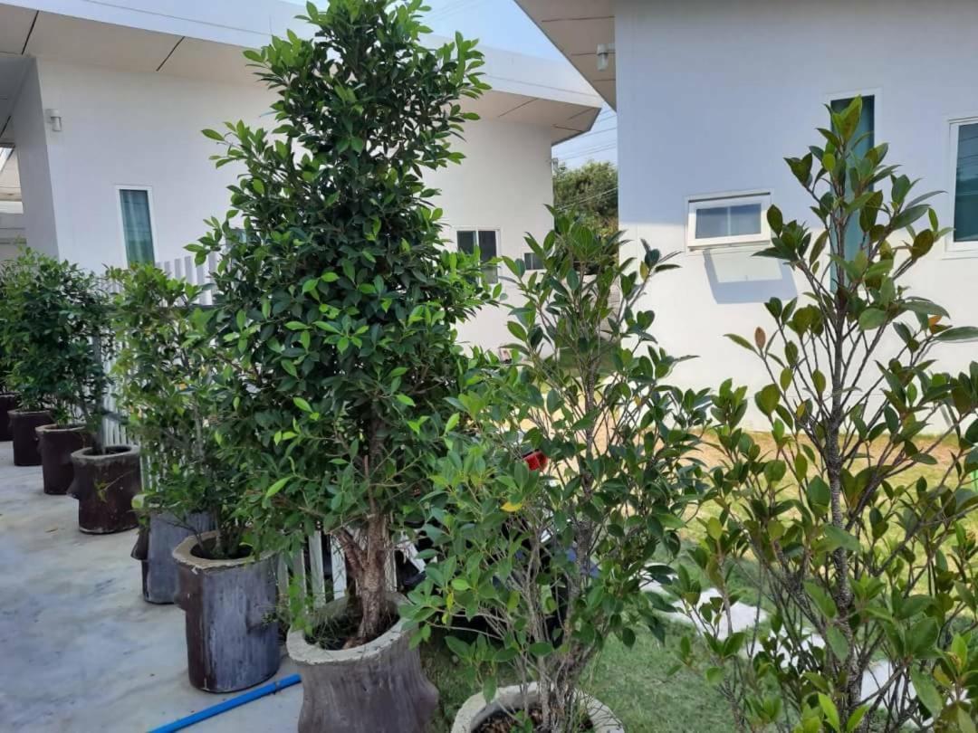 Pon Resort Ban Phe Extérieur photo
